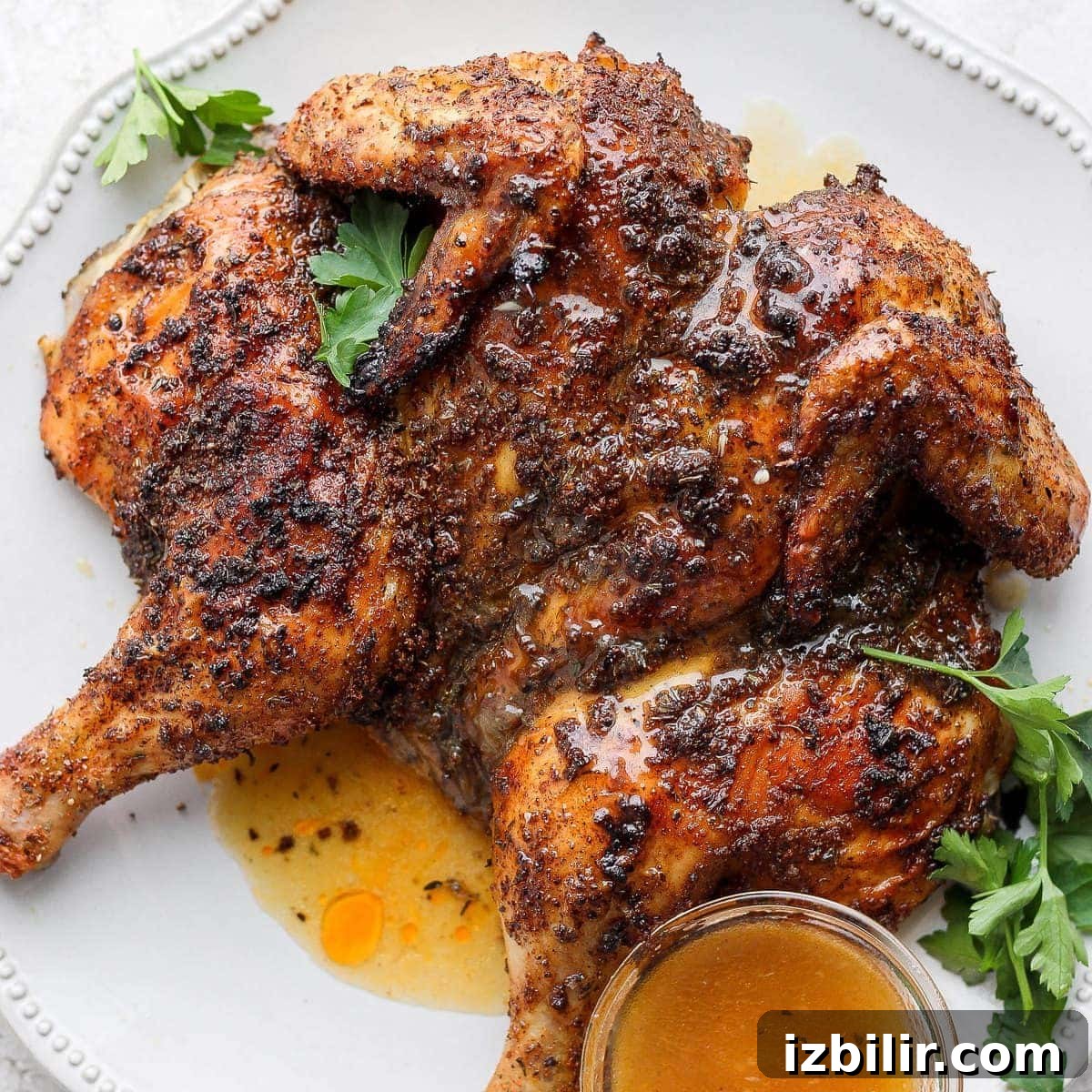 featured 118182