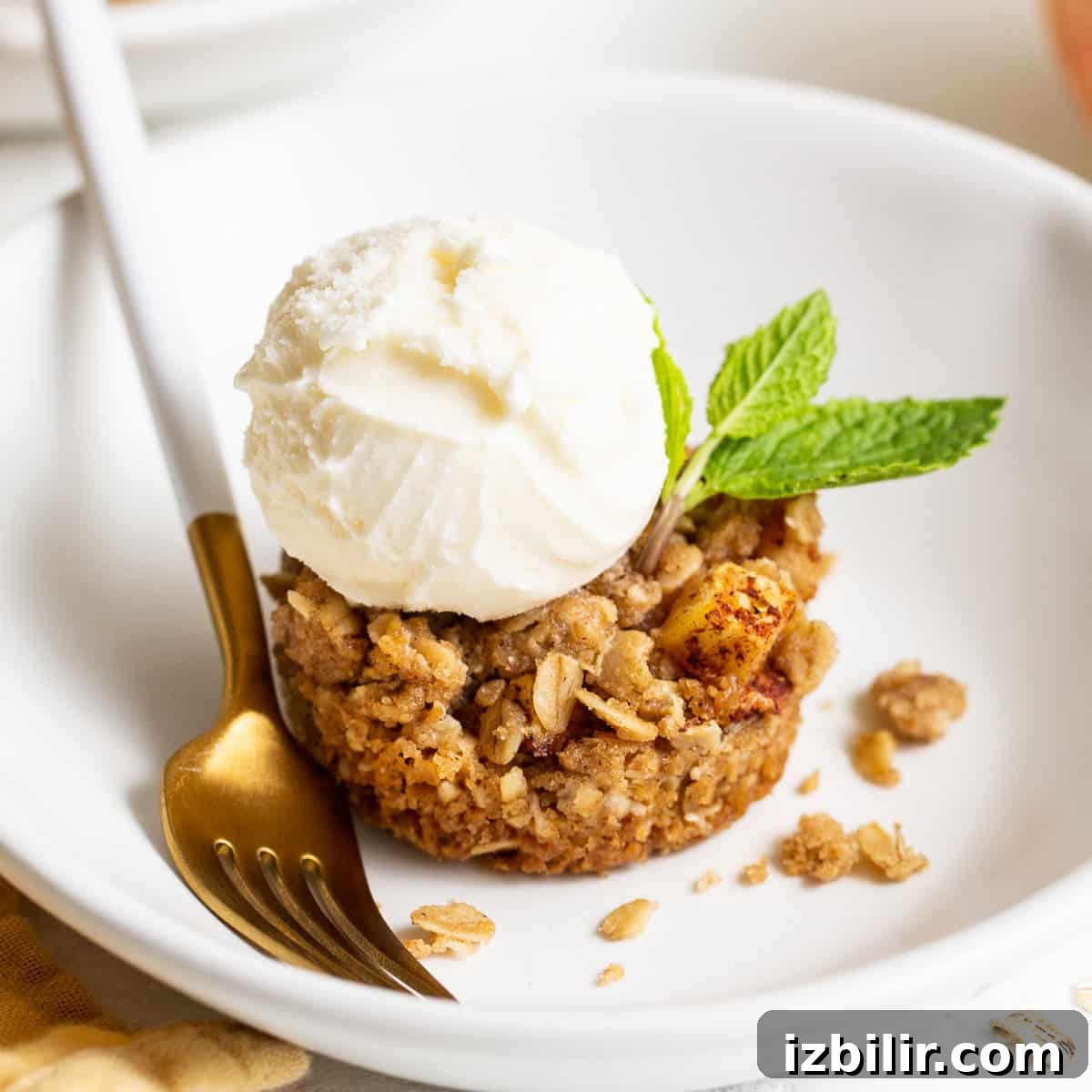 featured 175964