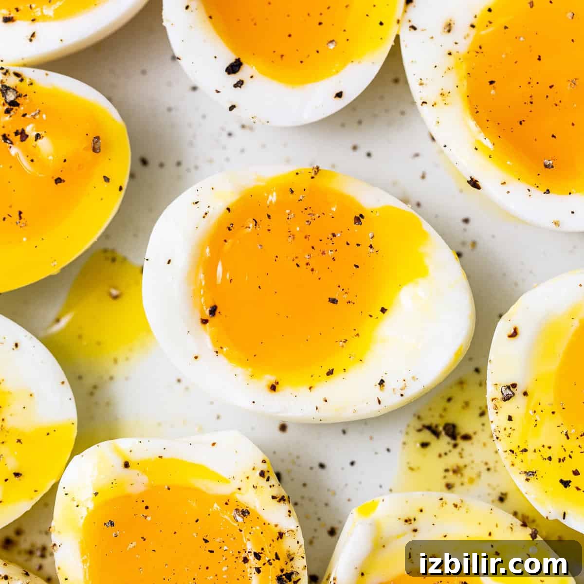featured 188169