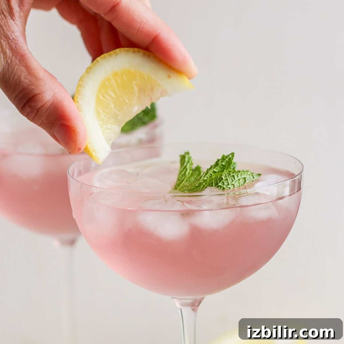 featured 239952