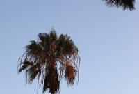 Fit Foodie: 3-Day Hermosa Beach Travel Itinerary