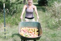 Illinois Peach Harvest: Seasonal Recipes to Try Now