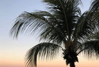 Yoga Retreat in Nicaragua with Fit Foodie Travels