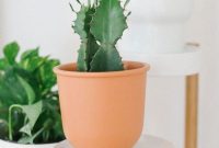 Low-Maintenance Indoor Plants for New Plant Owners