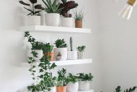 Build a Stunning Indoor Living Plant Wall