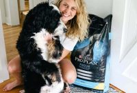 Dog Food: How to Choose the Right Option for Your Pet