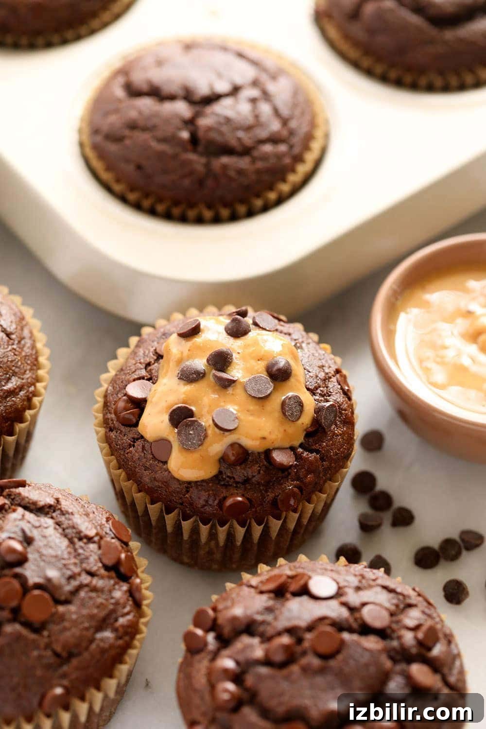 chocolate peanut butter muffins with chocolate chips