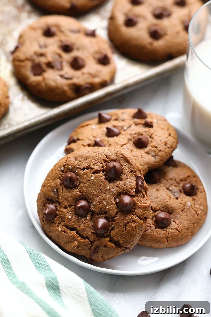 Paleo Cashew Butter Cookies Recipe (Gluten-Free, Grain-Free) 2 These Paleo Cashew Butter Cookies are grain-free and oil-free, made with coconut sugar for sweetness.