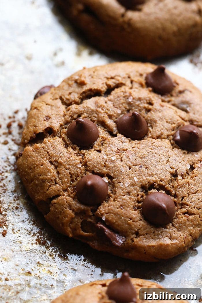 Paleo Cashew Butter Cookies Recipe (Gluten-Free, Grain-Free) 4 These Paleo Cashew Butter Cookies are grain-free and oil-free, made with coconut sugar for sweetness.