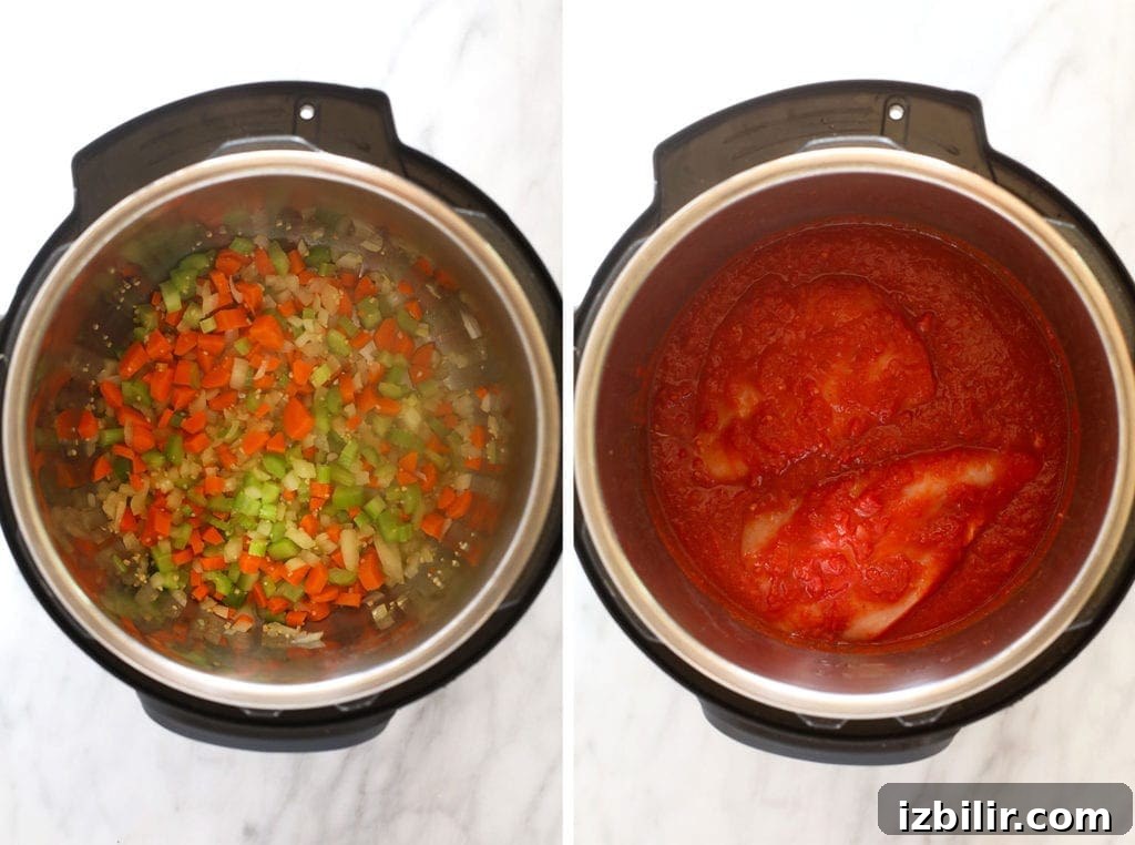 Ingredients placed in the Instant Pot. ingredients in instant pot