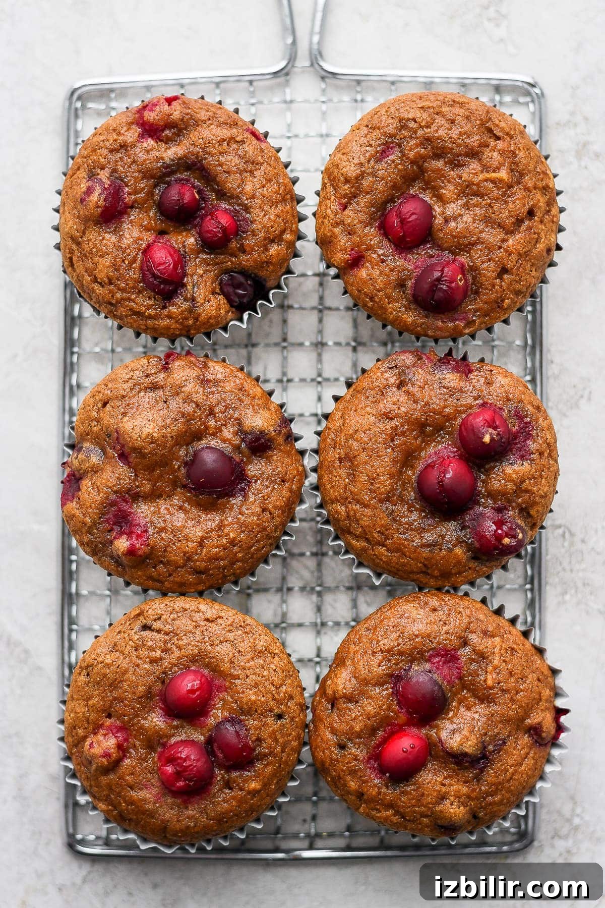 cranberry orange muffins on a cooling rack