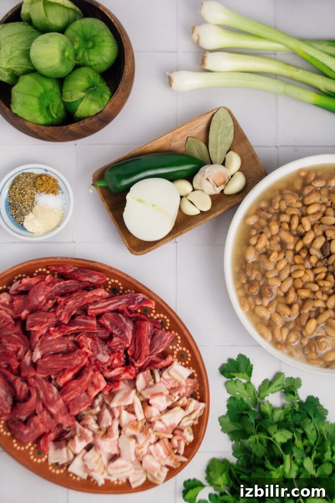 Carne en su Jugo Recipe: Mexican Beef Simmered in Its Juices 2 Carne En Su Jugo in a bowl with garnishes