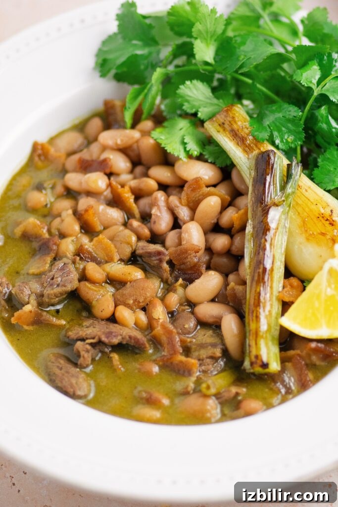 Carne en su Jugo Recipe: Mexican Beef Simmered in Its Juices 5 Finished Carne En Su Jugo plated with tortillas