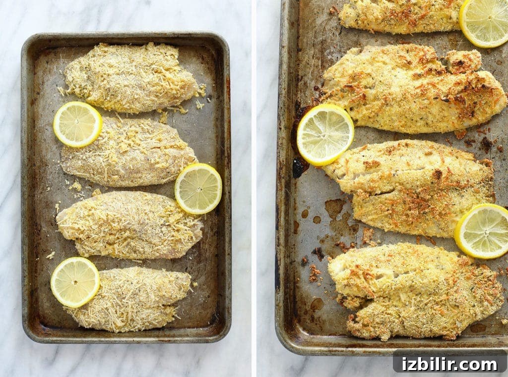 Before and after baking tilapia Before and after photos of baked tilapia.