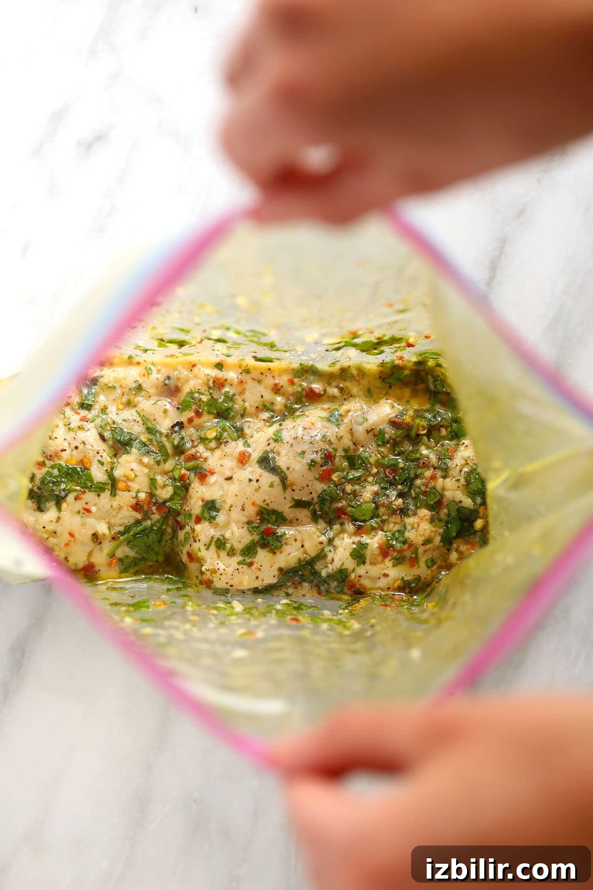Italian marinade in a bag with chicken chicken marinating in plastic bag.