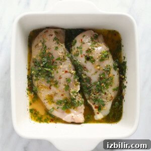 Authentic Italian Chicken Marinade for Grilling 2 Two Italian chicken breasts in a white dish with herbs.