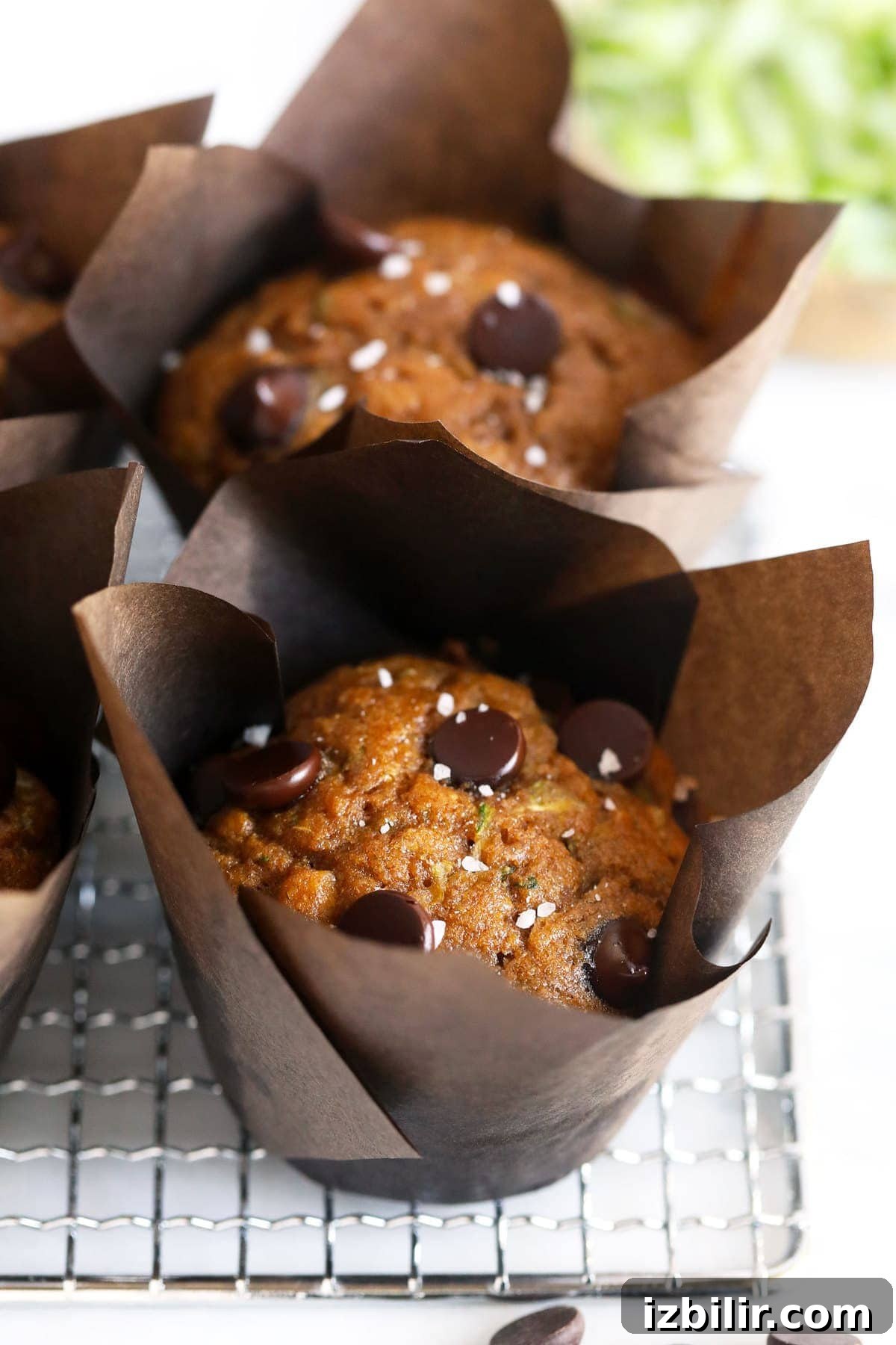 zucchini muffins with chocolate chips and sea salt on wire rack.