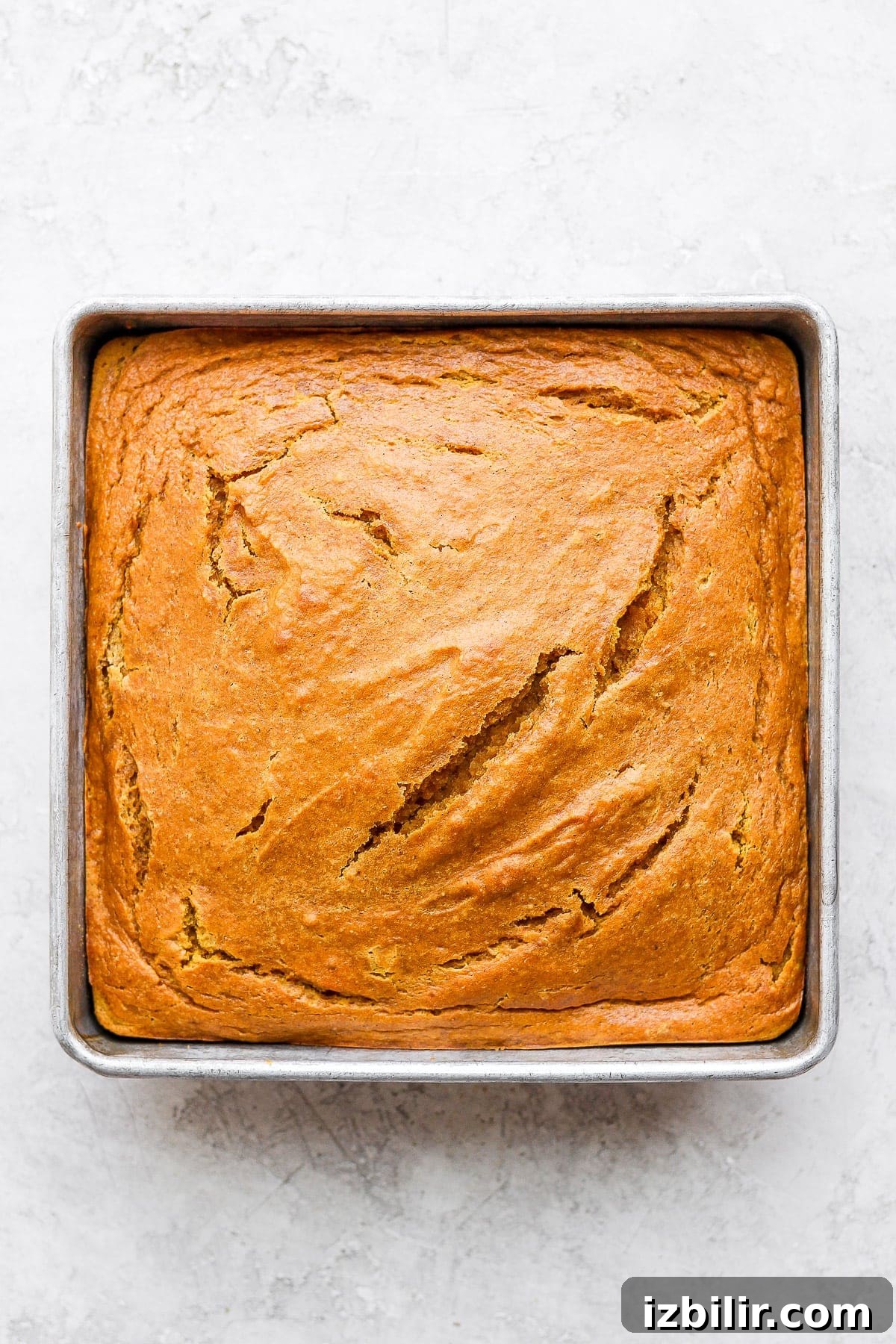 Pumpkin sheet cake fresh from the oven pumpkin sheet cake after its come out of the oven from baking