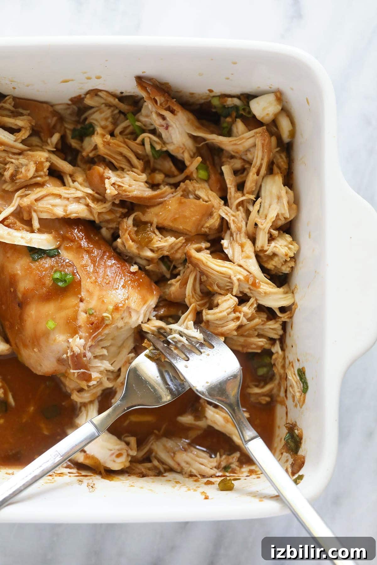 shredded teriyaki chicken