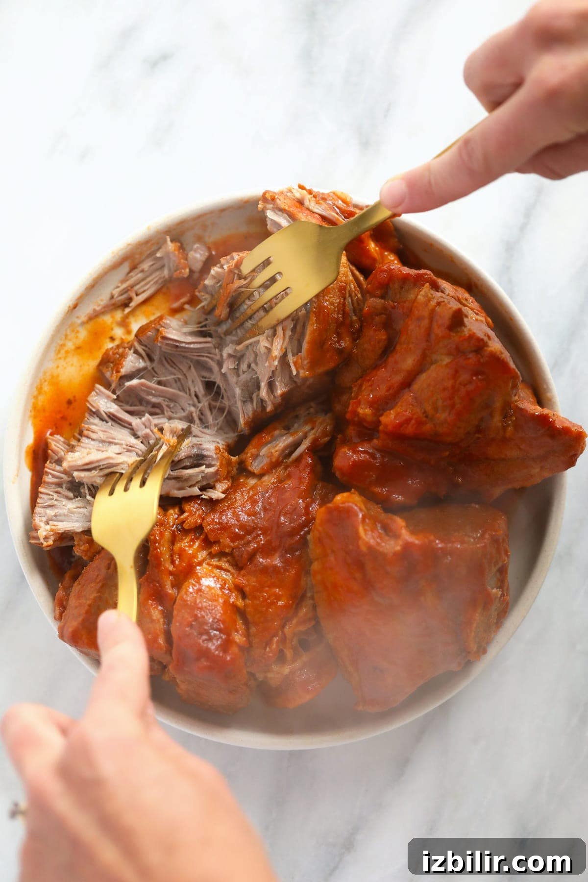 shredding pork with 2 forks.