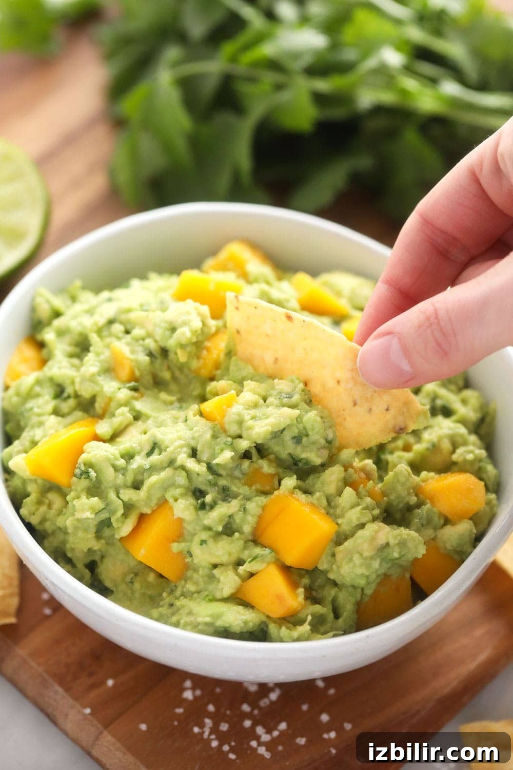 mango guacamole with chip
