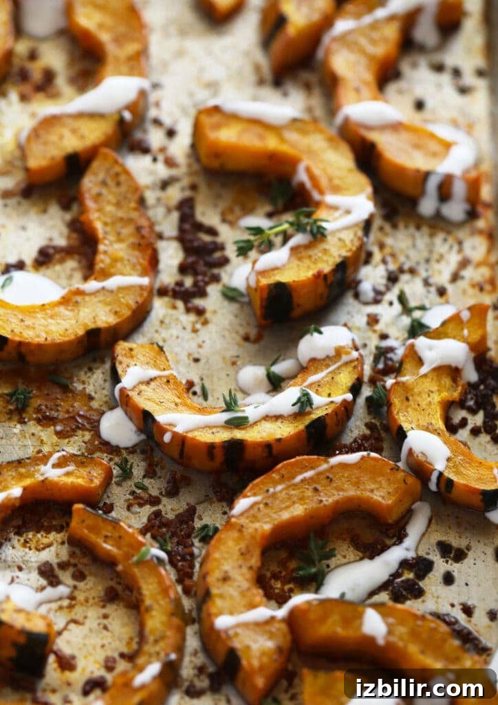 This Easy Roasted Delicata Squash is the perfect pairing to any harvest meal! Enjoy a creme fresh drizzle and the rich savory flavors of delicata squash. No peeling required! delicata squash with a creme fresh drizzle on a roasting pan