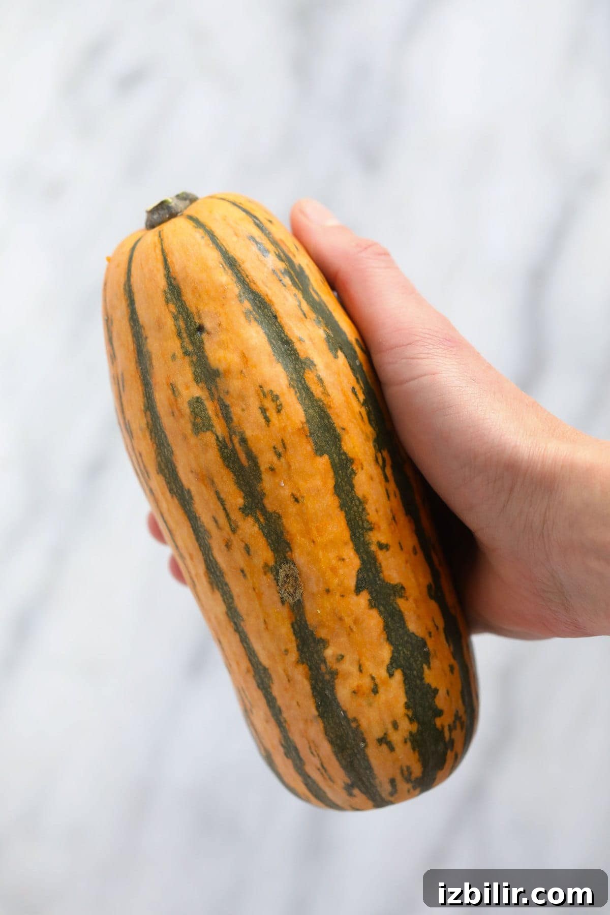 This Easy Roasted Delicata Squash is the perfect pairing to any harvest meal! Enjoy a creme fresh drizzle and the rich savory flavors of delicata squash. No peeling required! whole delicata squash ready to be prepared