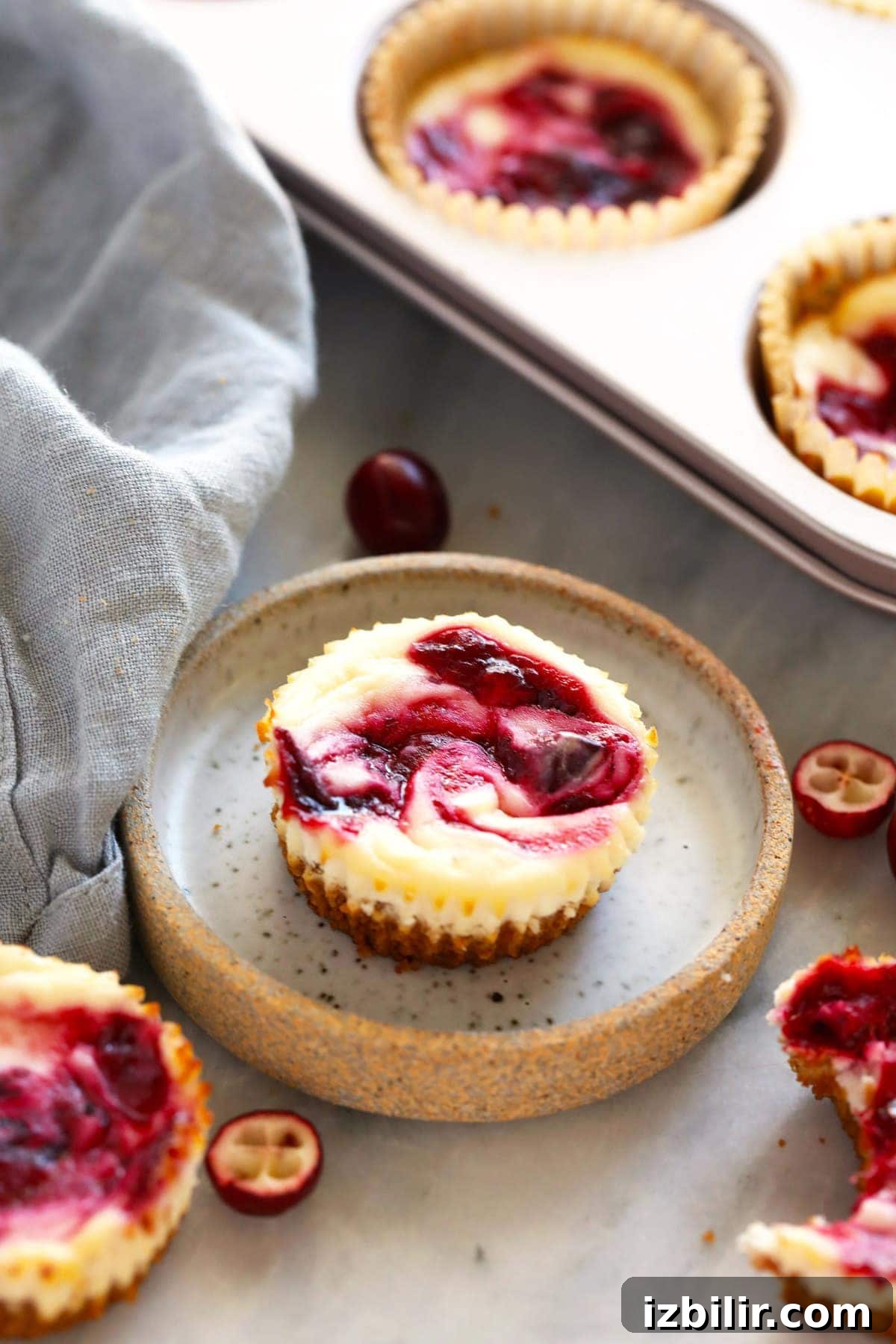 Mini Cranberry Swirl Greek Yogurt Cheesecake Bites Recipe 2 Cranberry cheesecake bites in a tin and on a plate.