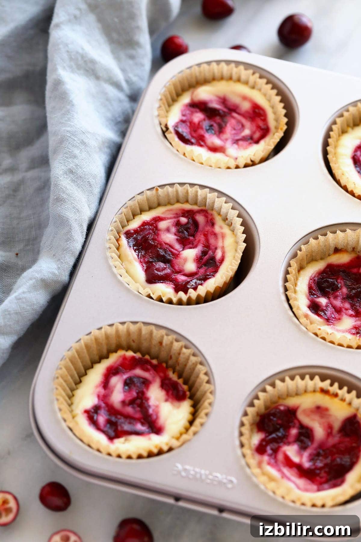 Mini Cranberry Swirl Greek Yogurt Cheesecake Bites Recipe 6 img 113242 5