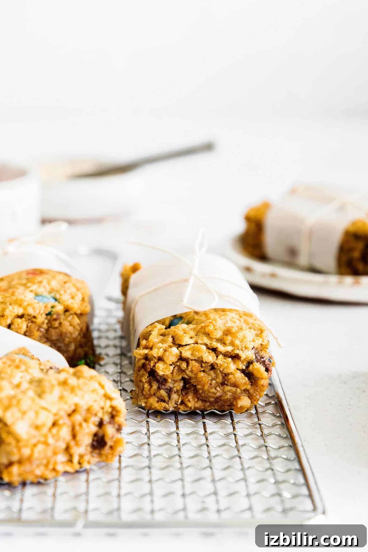 Monster Cookie Bars Recipe: Oats, Peanut Butter & M&Ms 8 Sliced monster cookie bar