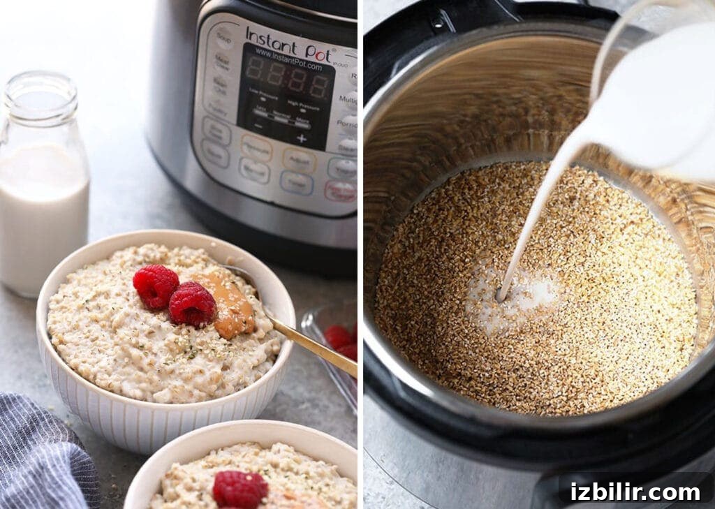 instant pot steel cut oats
