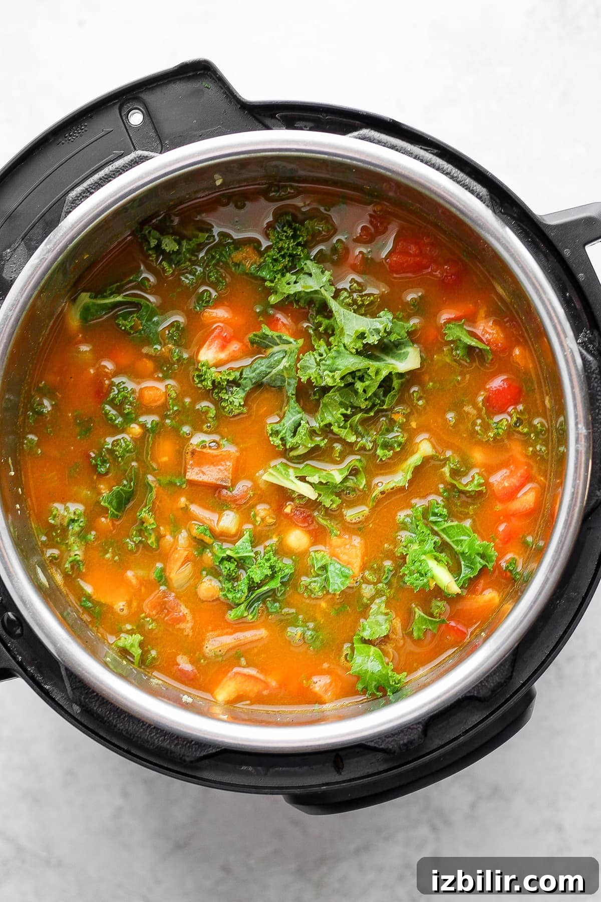 Quick Instant Pot Lentil Soup Recipe for Weeknights 6 Instant Pot lentil soup with fresh kale on top.