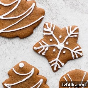 Gingerbread Cookies