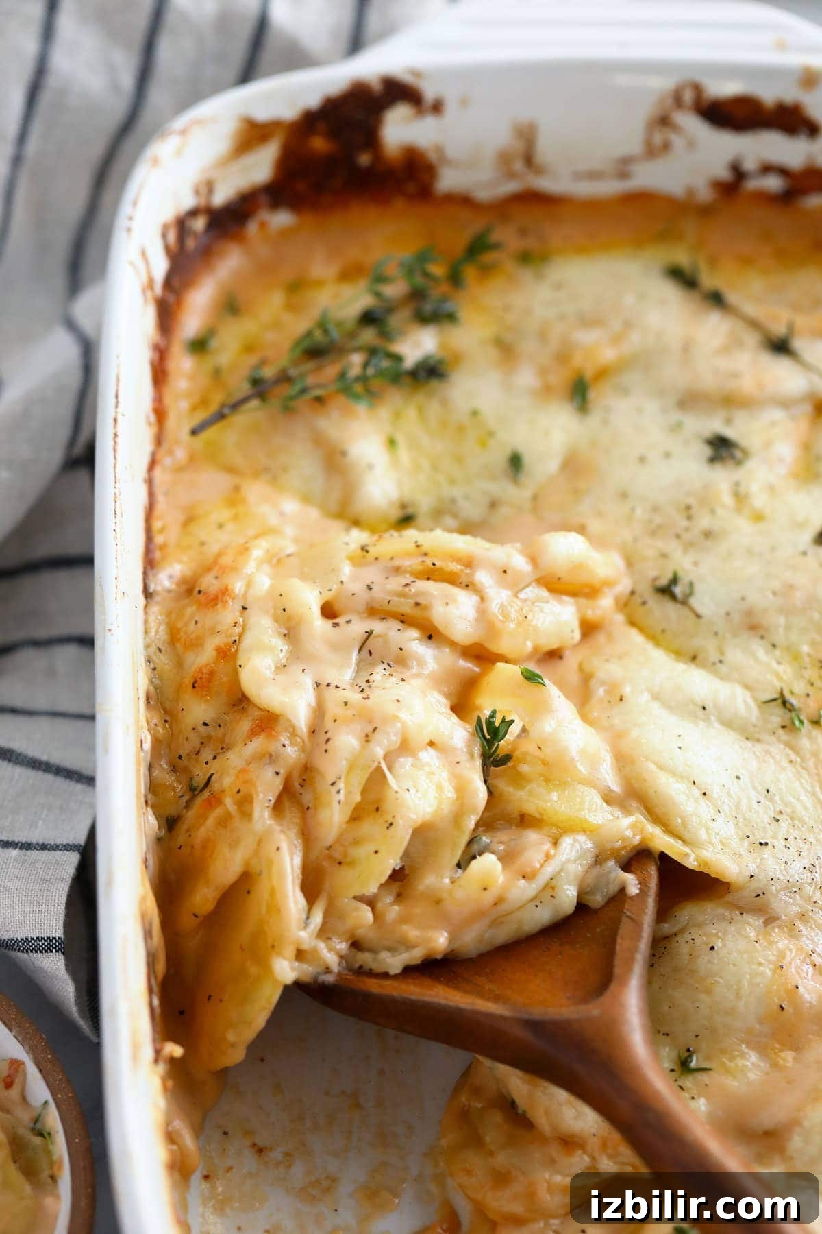 Cheesy scalloped potatoes in a casserole dish. 