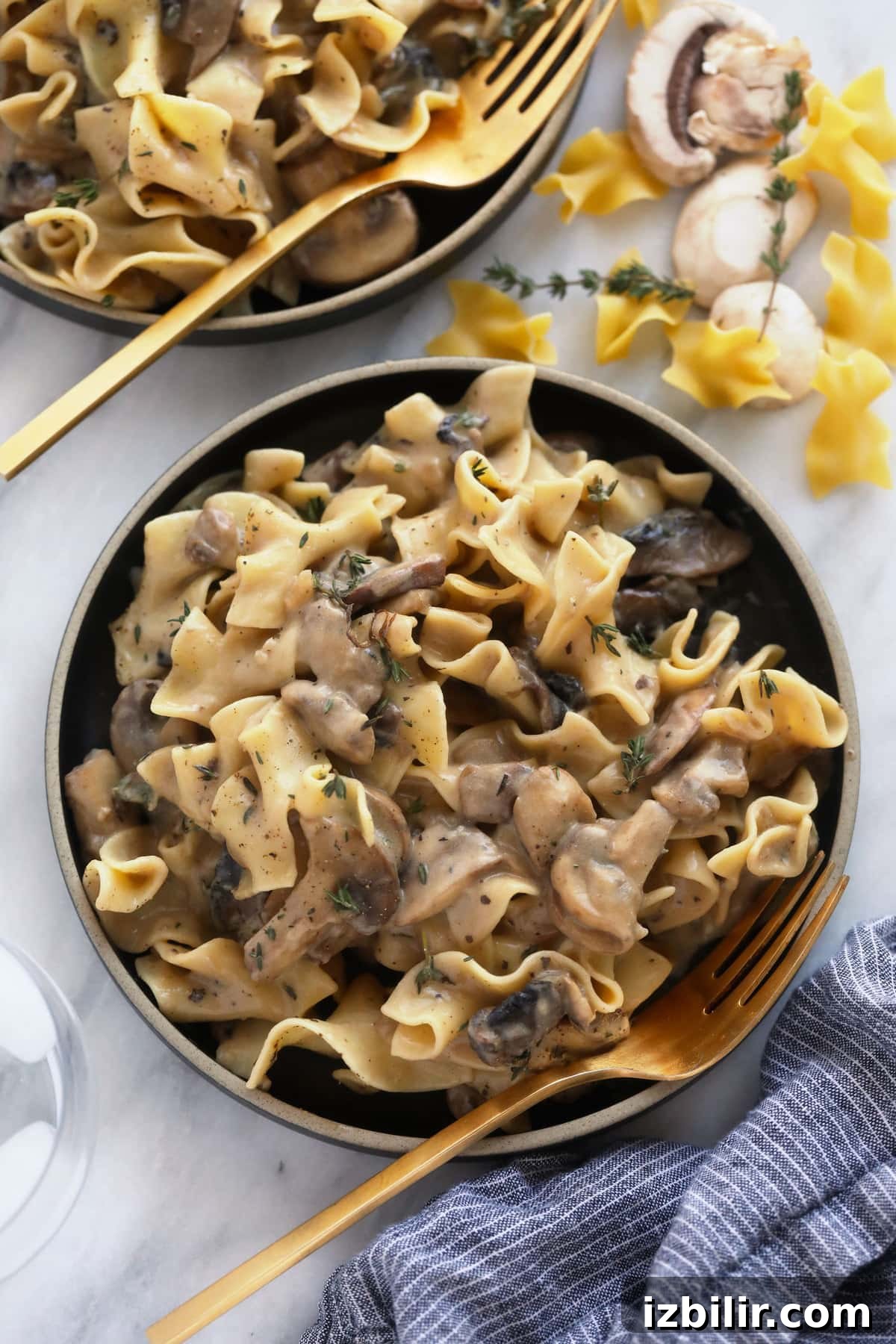 Mushroom stroganoff on a plate.