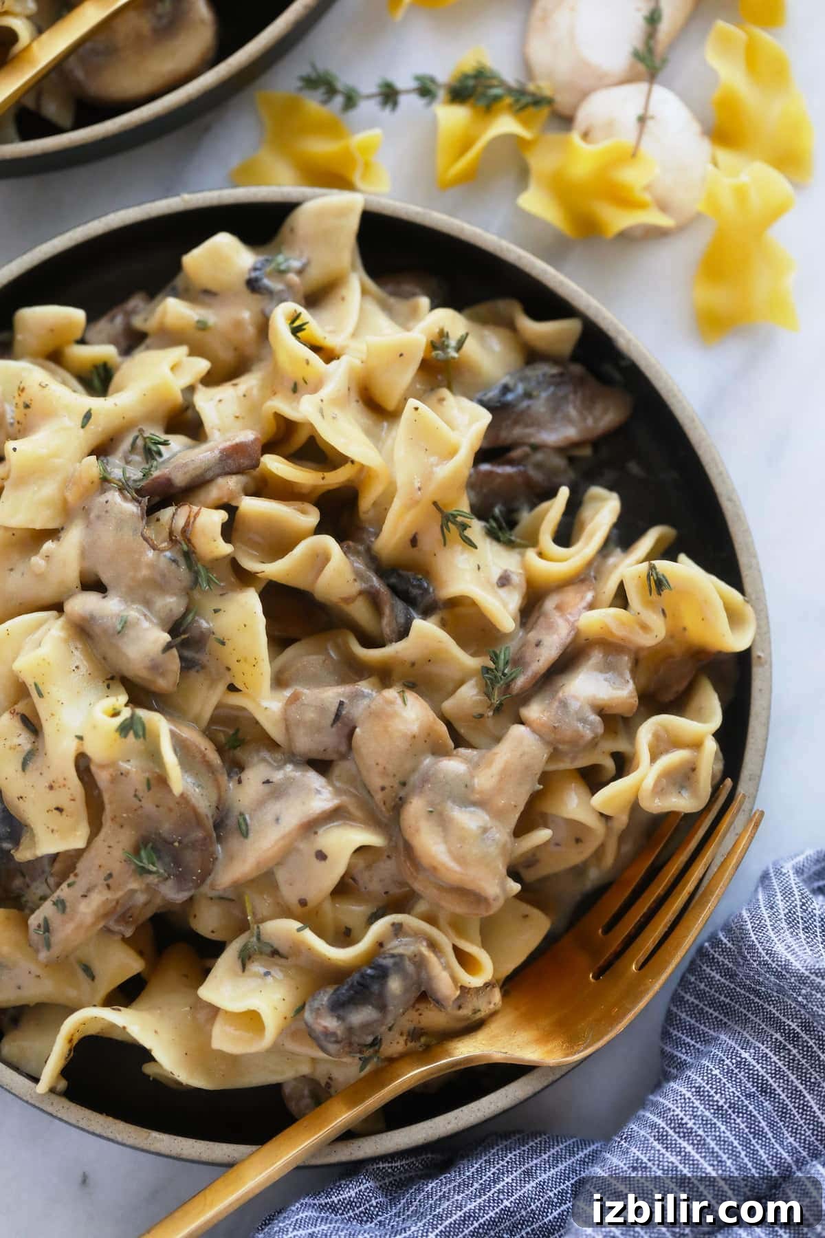 Mushroom stroganoff on a plate.