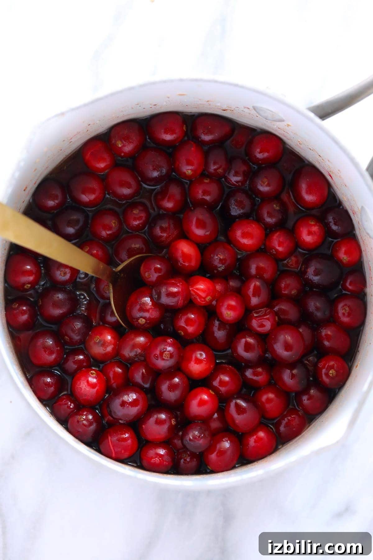 Zesty Lemon-Ginger Cranberry Sauce Recipe 2 whole cranberries in pot