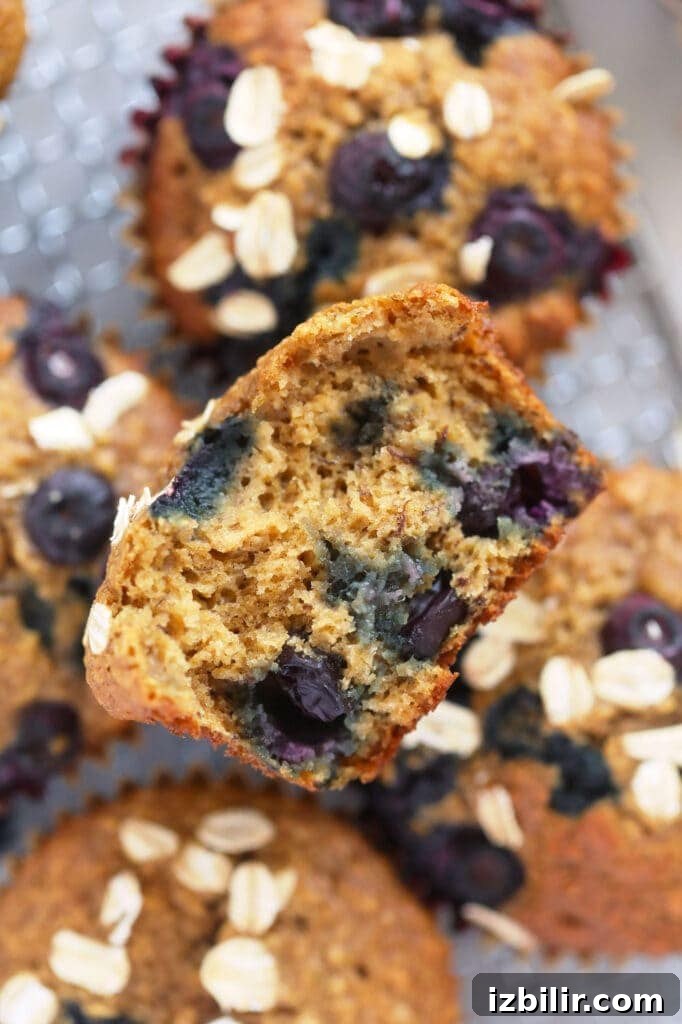 blueberry oatmeal muffin cut in half showing texture and blueberries