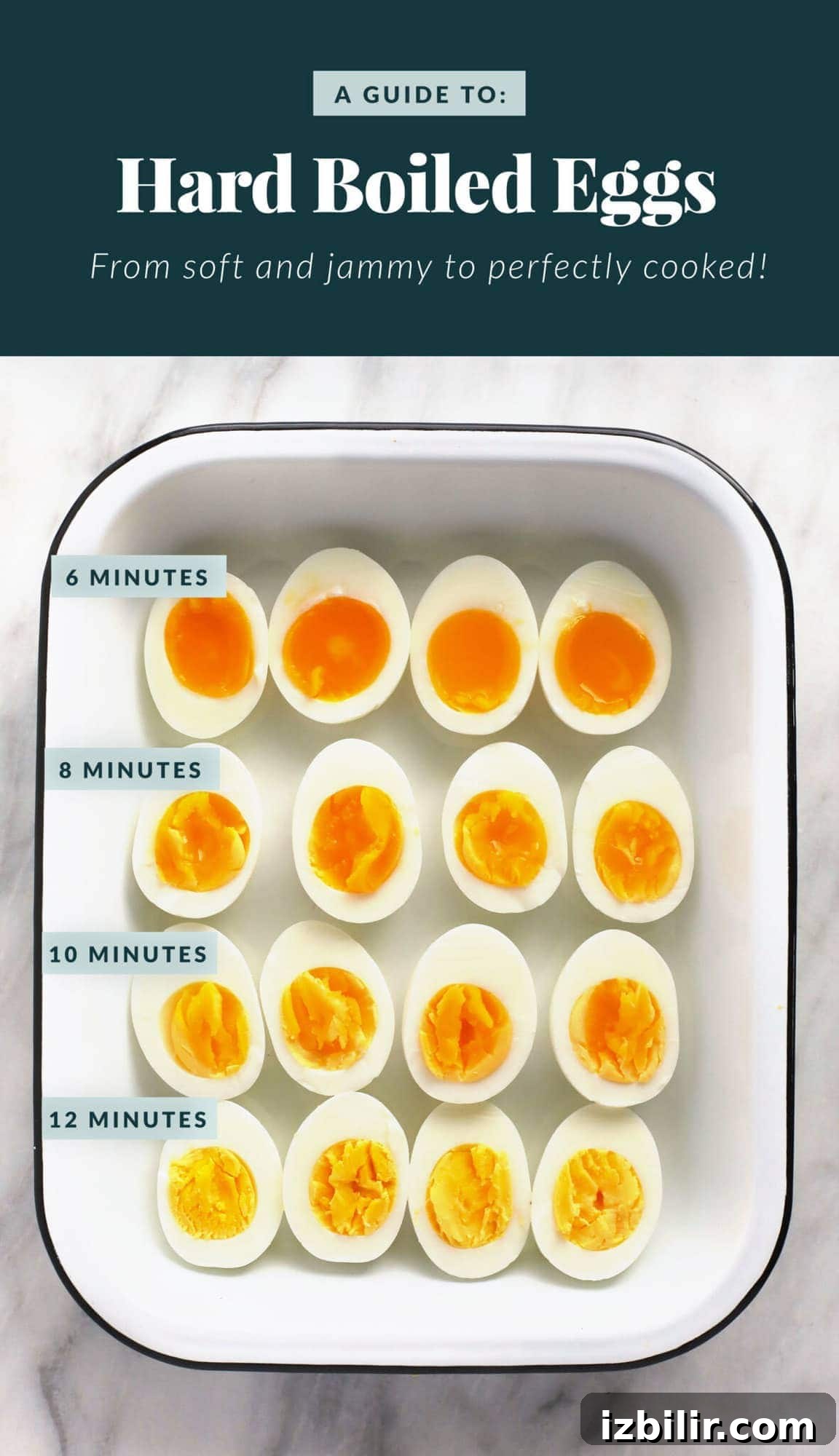 hard boiled eggs in container