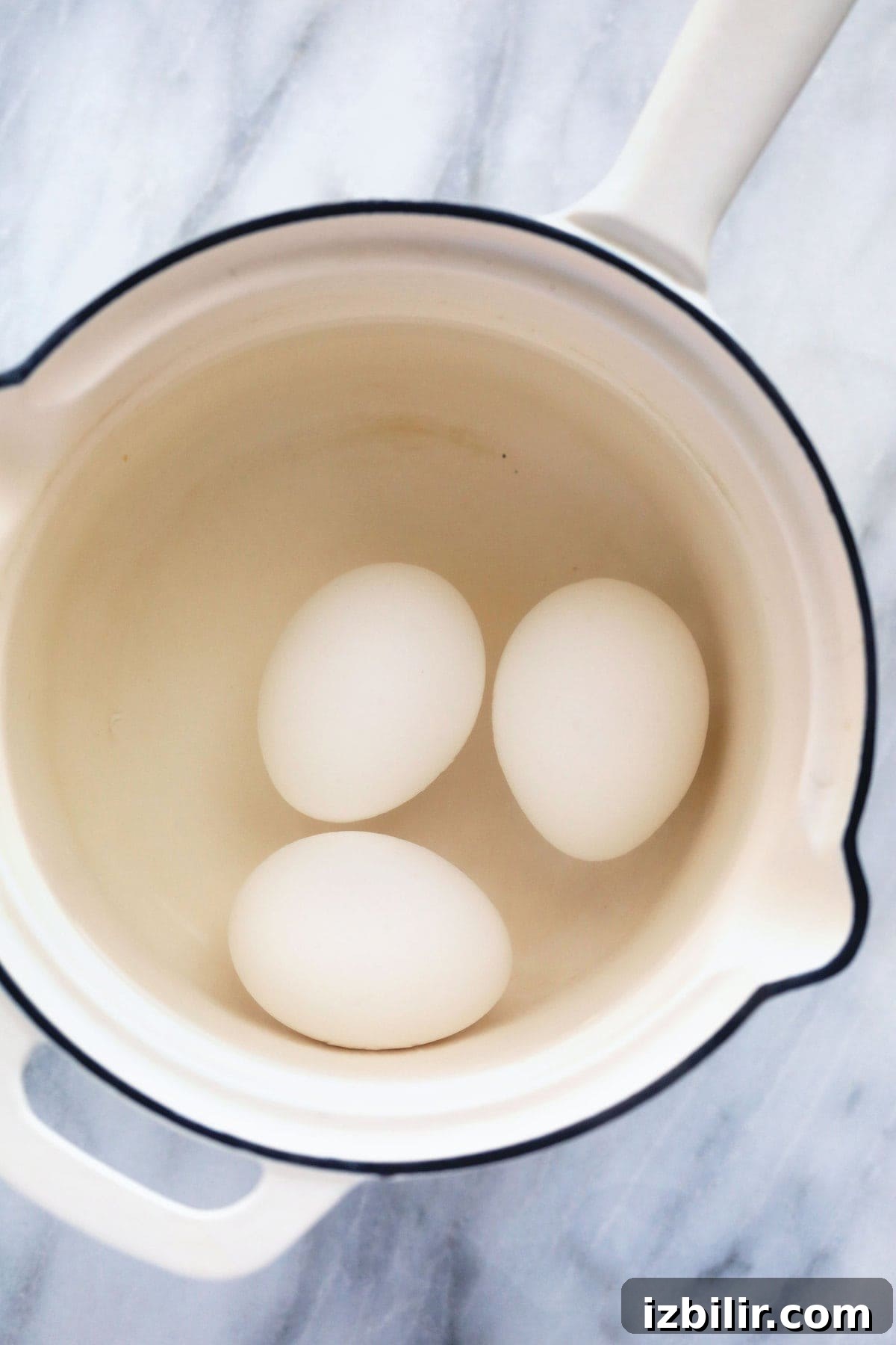 eggs in pot with water