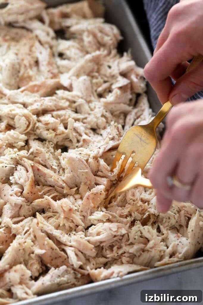Wondering how to make the easiest shredded chicken? Look no further! This shredded chicken is baked to perfection, and will easily become a meal-prep staple in your home. chicken breast being shredded with two forks