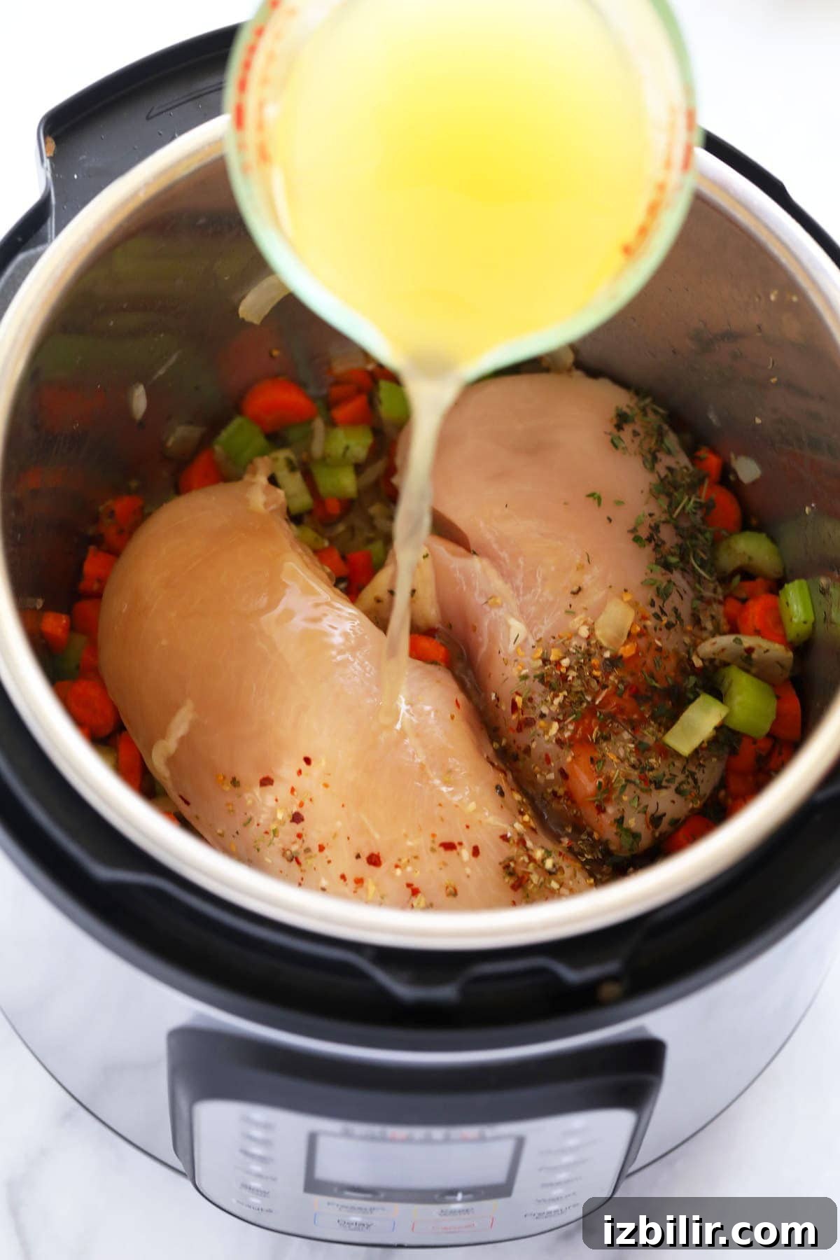instant pot chicken noodle soup ingredients