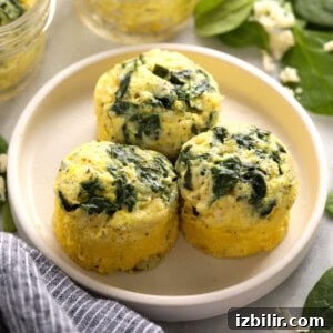 Starbucks-Style Instant Pot Egg Bites Recipe 9 egg bites on plate