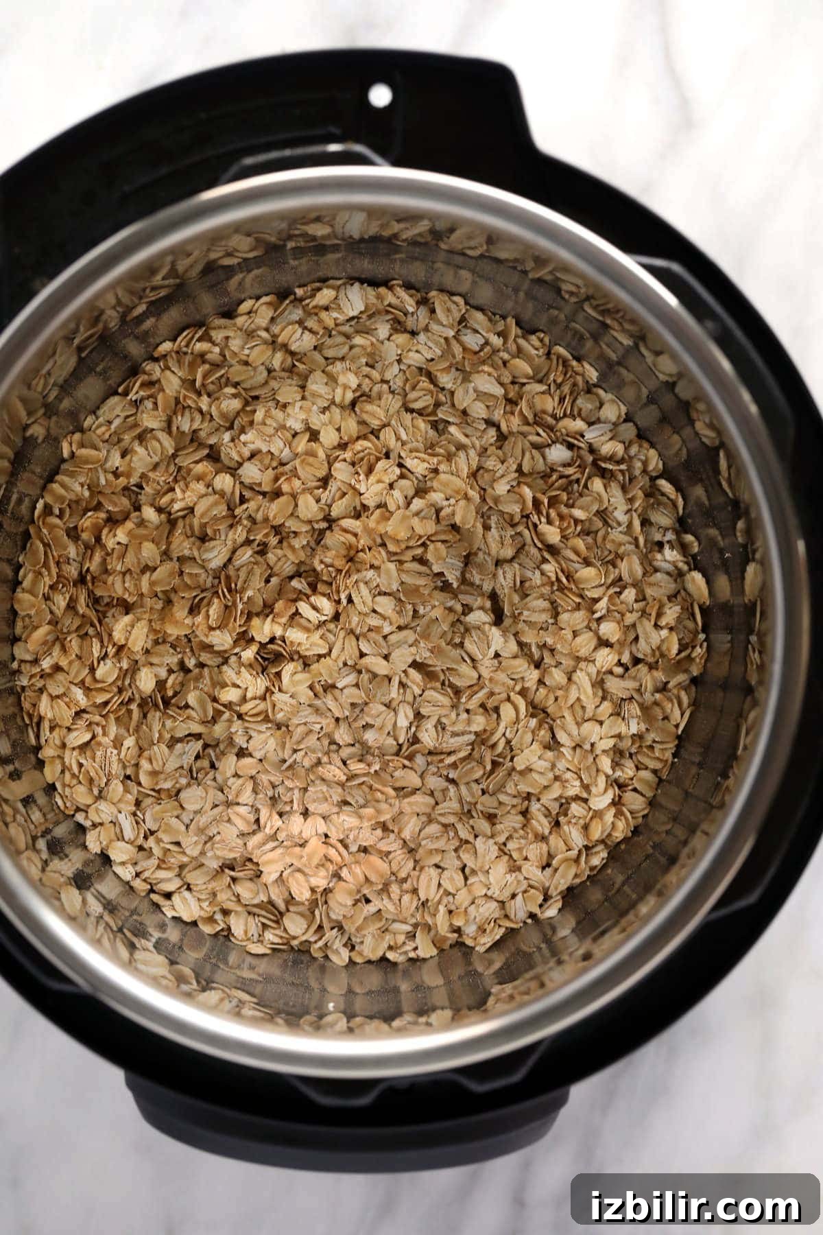 oats in Instant Pot