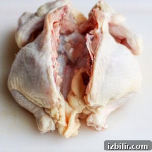 spine cut out of chicken.