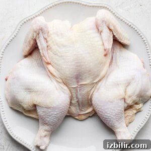 spatchcocked chicken on plate uncooked.