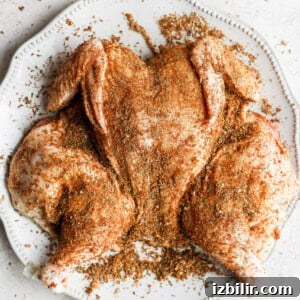 chicken seasoned on plate.