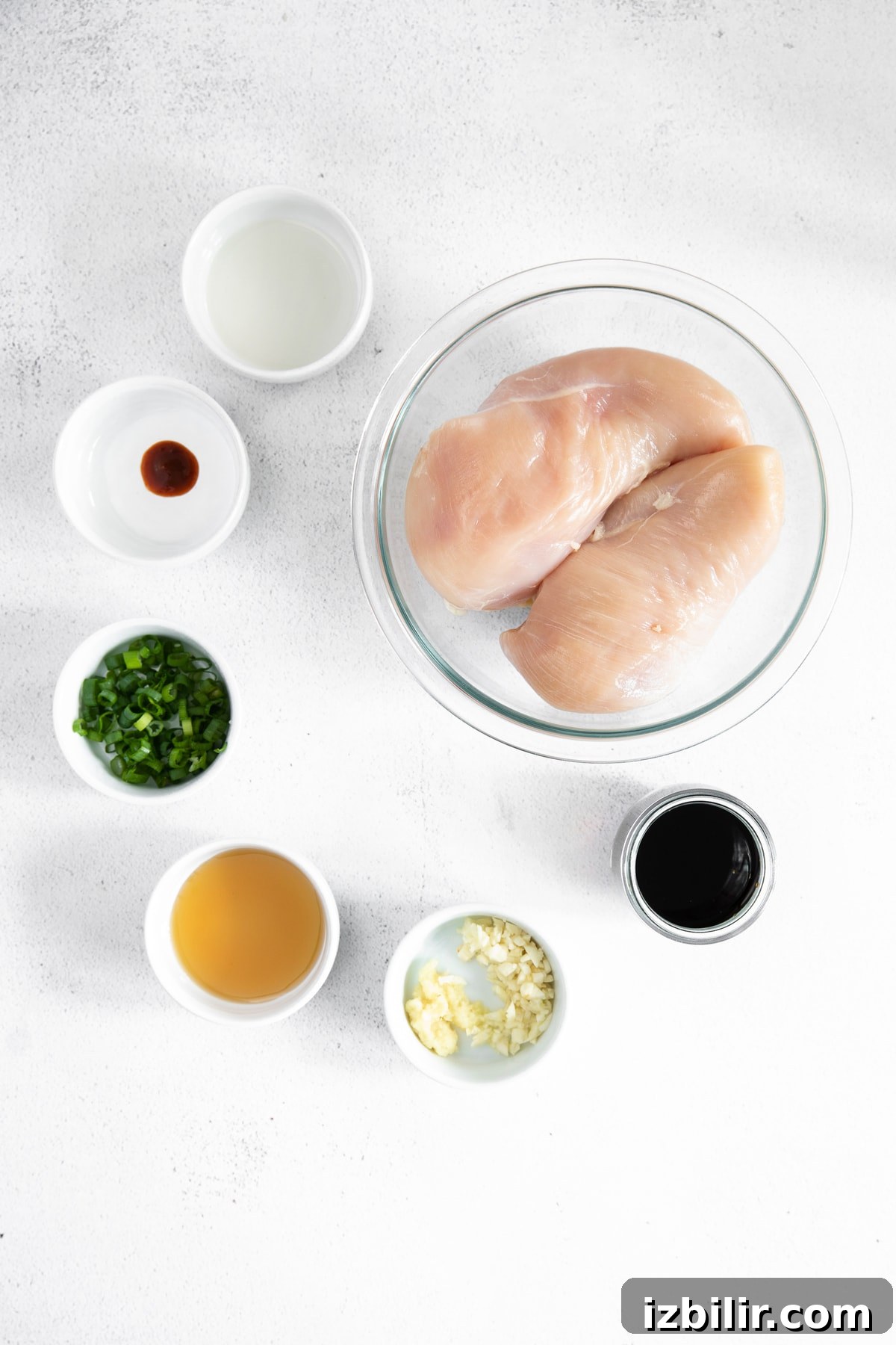 Teriyaki chicken ingredients laid out. teriyaki chicken ingredients on countertop