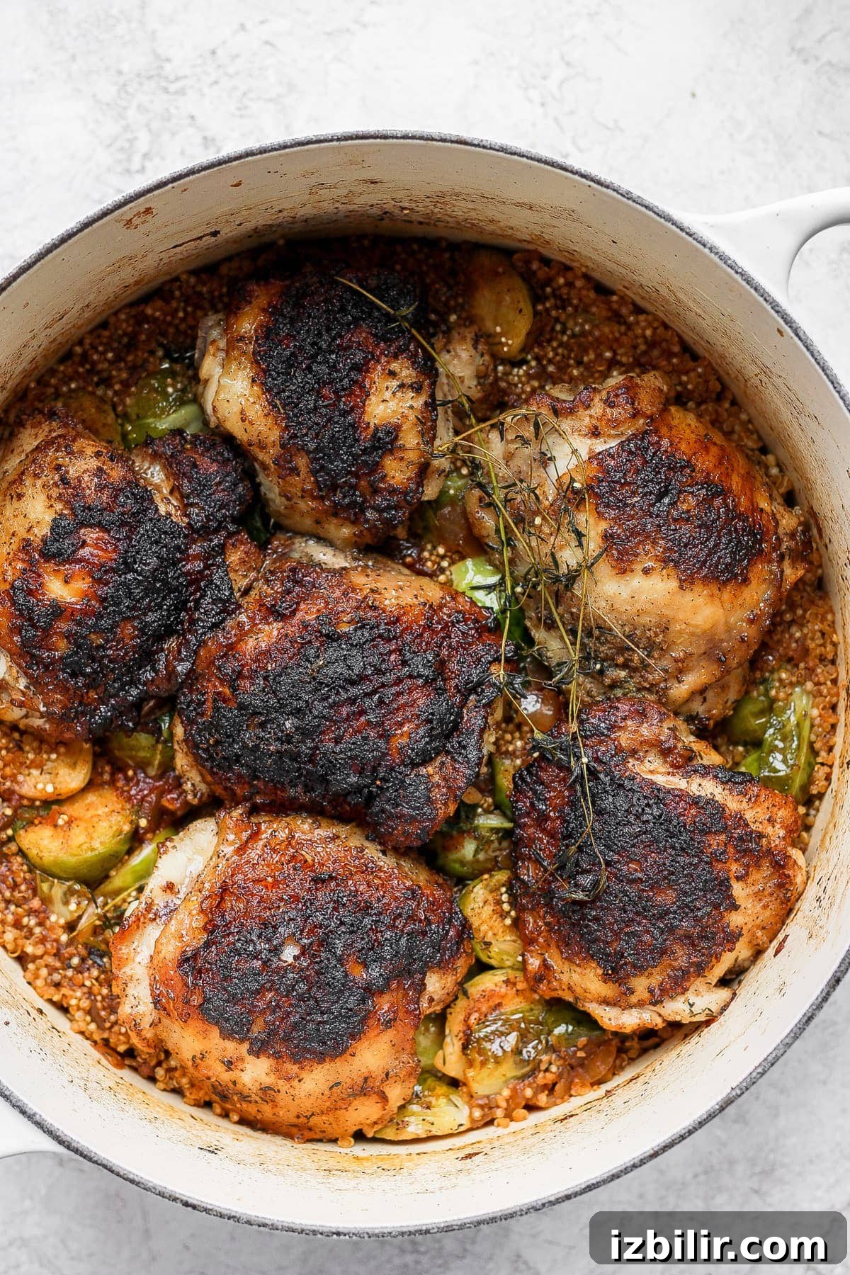 Dutch Oven Chicken Thighs with Crispy Brussels Sprouts 2 Dutch oven chicken thighs with Brussels sprouts and quinoa