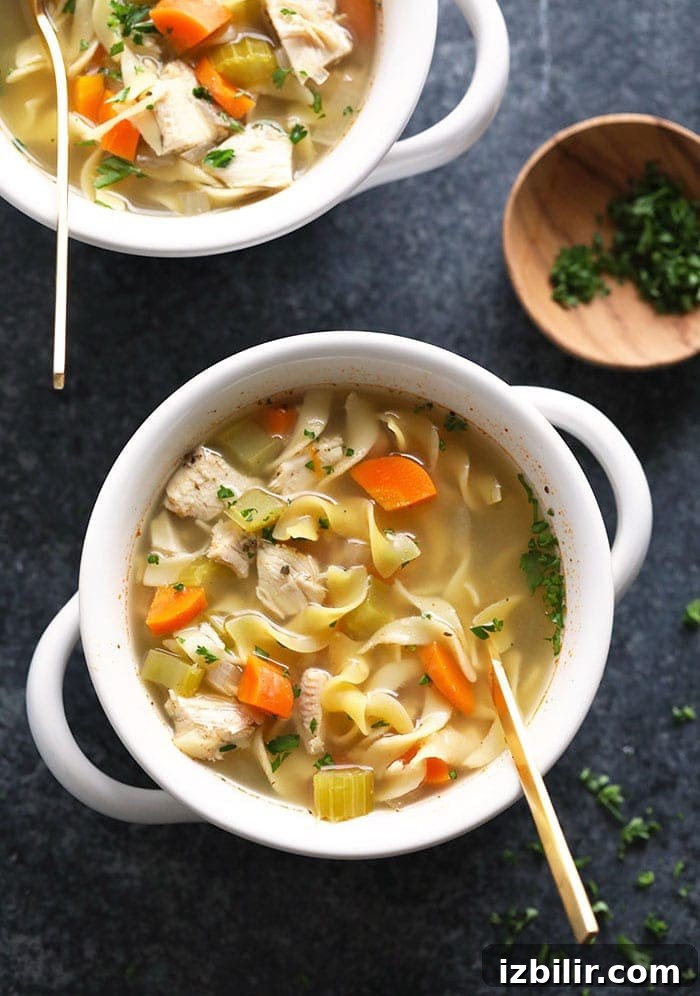 Slow Cooker Chicken Noodle Soup